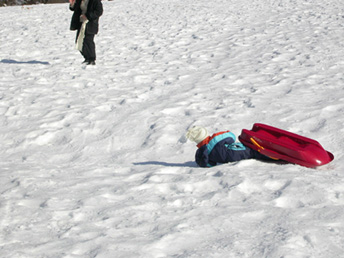 030220 Neige luge2