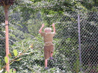 20030731_03 Tarzan la descente