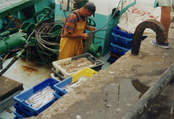 200308_09 La Turballe