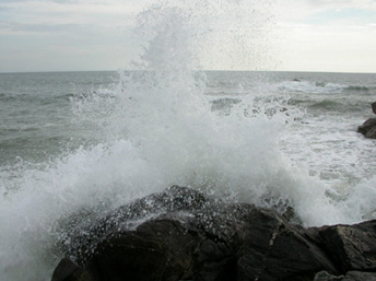 200308_38 La Côte Sauvage à marée