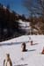 20030213 15 Oursons