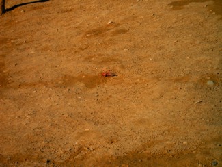 20041221 058 J4 Merzouga rouges