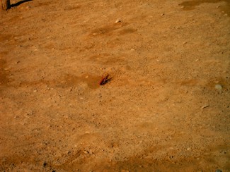 20041221 059 J4 Merzouga