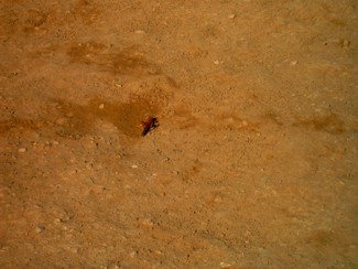 20041221 060 J4 Merzouga