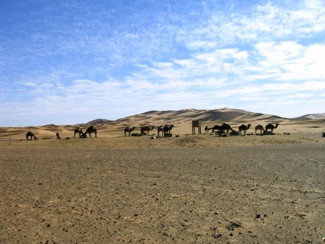 20041221 067 J4 Merzouga