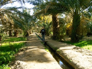 20041221 070 J4 Merzouga l'oasis