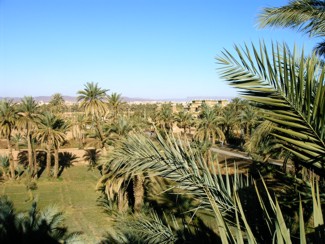 20041225 128 J8 Zagora