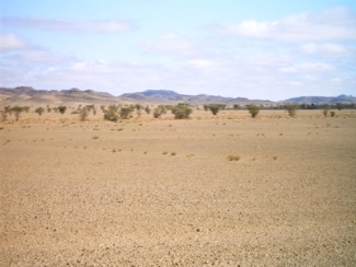 20041225 140 J8