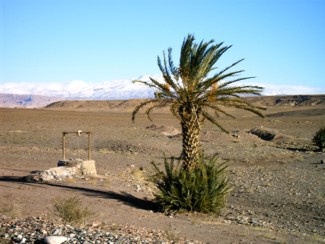 20041226 159 J9 le Haut Atlas