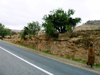 20041226 168 J9 les arganiers