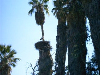 20041226 177 J9 Taroudant