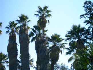 20041226 178 J9 Taroudant