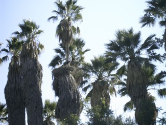 20041226 179 J9 Taroudant
