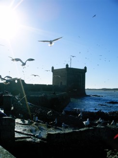 20041229 239 J12 Essaouira