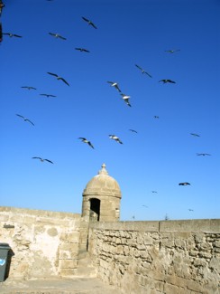 20041229 248 J12 Essaouira
