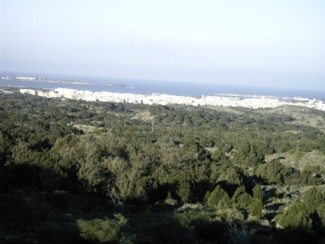 20041229 252 J12