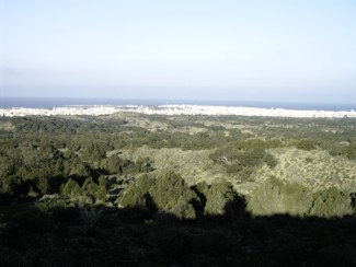 20041229 253 J12