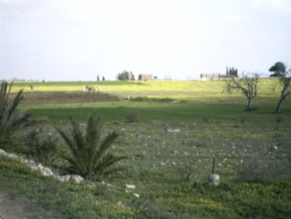 20041229 255 J12