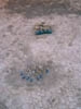 20041220 032 J3 Merzouga pret