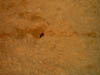 20041221 060 J4 Merzouga