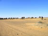20041221 064 J4 Merzouga dromadaires