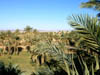 20041225 128 J8 Zagora
