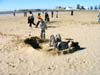 20041229 228 J12 Essaouira