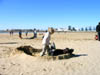 20041229 229 J12 Essaouira