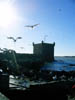 20041229 239 J12 Essaouira