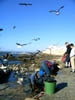 20041229 240 J12 Essaouira