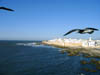 20041229 249 J12 Essaouira