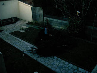 20040302_01 adieu le sapin