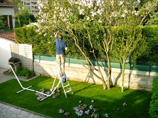 20040514_01 taille lilas