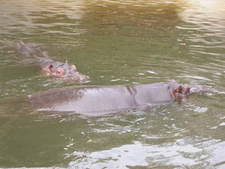 20040630_02 Zoo Vincennes