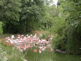 20040630_04 Zoo Vincennes