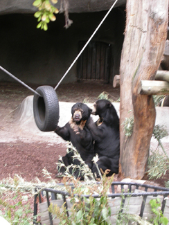 20040630_05 Zoo Vincennes
