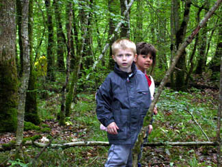 20040712_04 opération comando champignons