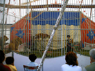 20040809_10 La Turballe