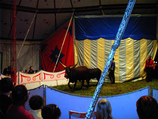 20040809_15 La Turballe