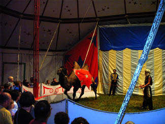 20040809_16 La Turballe