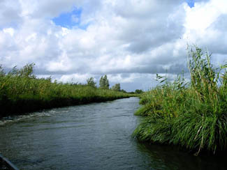 20040812_44 Parc naturel de Bievre les joncs