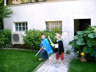 20040831_3 de chevaliers