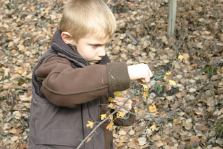 20041027_02 Briancon sur la route des fontaines