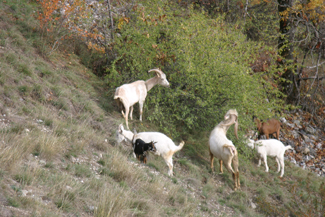 20041027_04 Briancon sur la route des fontaines
